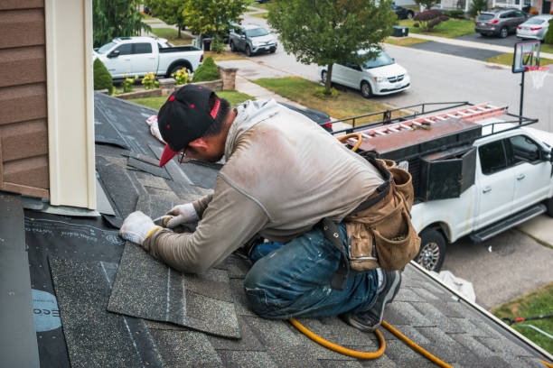 Professional Gutter Repair And Installation technician working in Lockport, NY